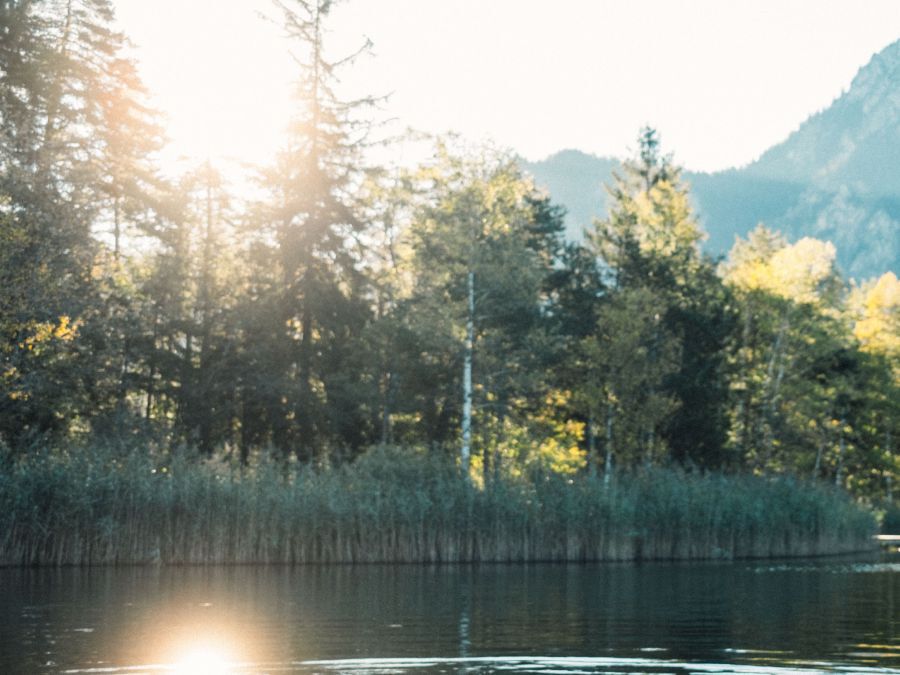 Equipment Highlights